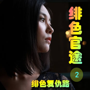 绯色官途2——绯色复仇路